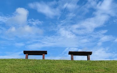 SAP S/4HANA Private & Public Cloud: ein Vergleich